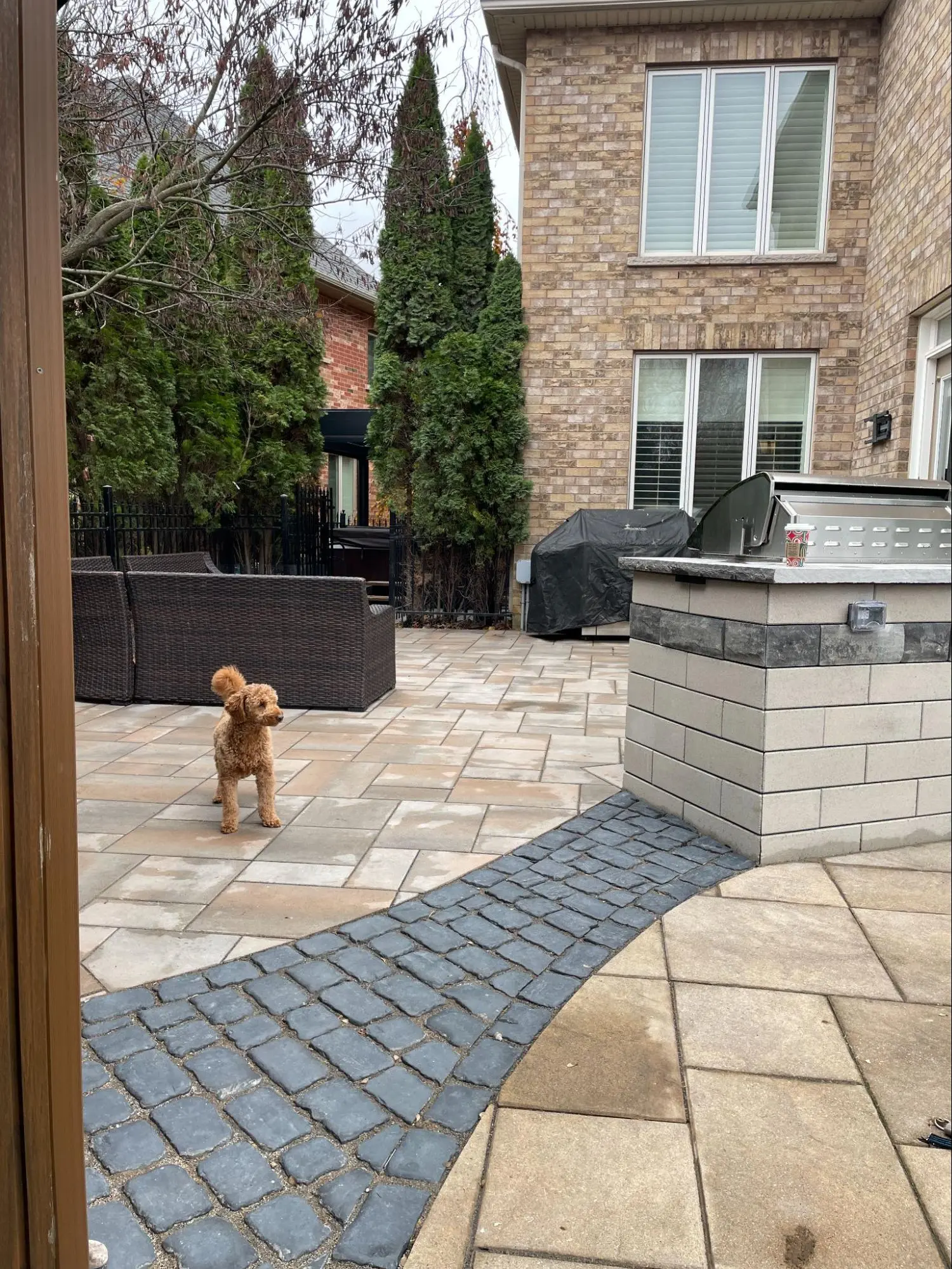 How Professional Landscape Design Aligns Your Backyard With the Way You Live