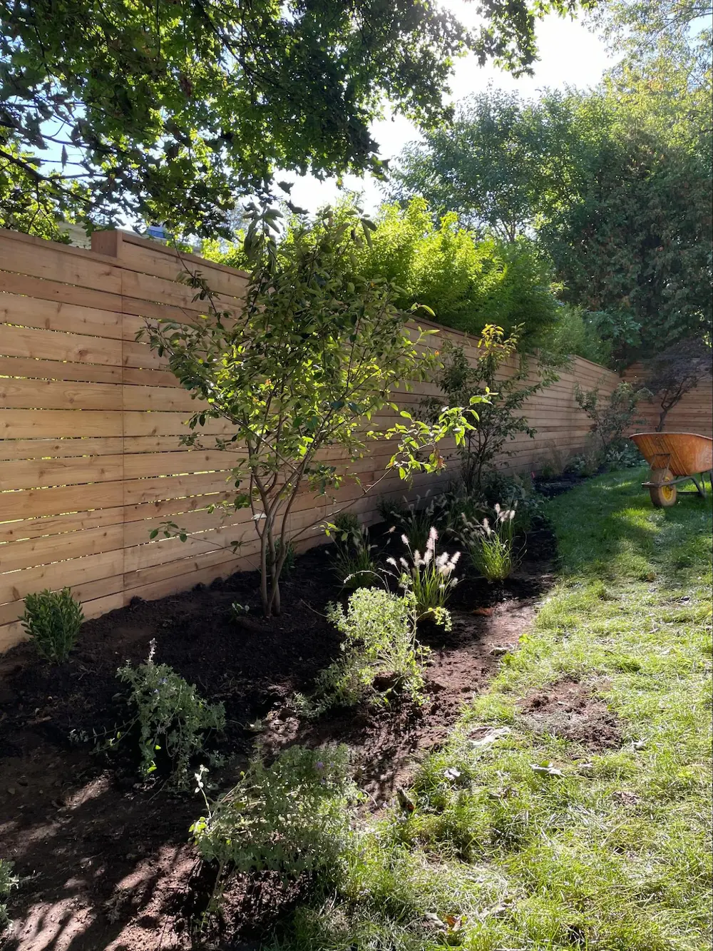 The End of Empty Lawns: Why Plant-Rich Landscapes Are Taking Over