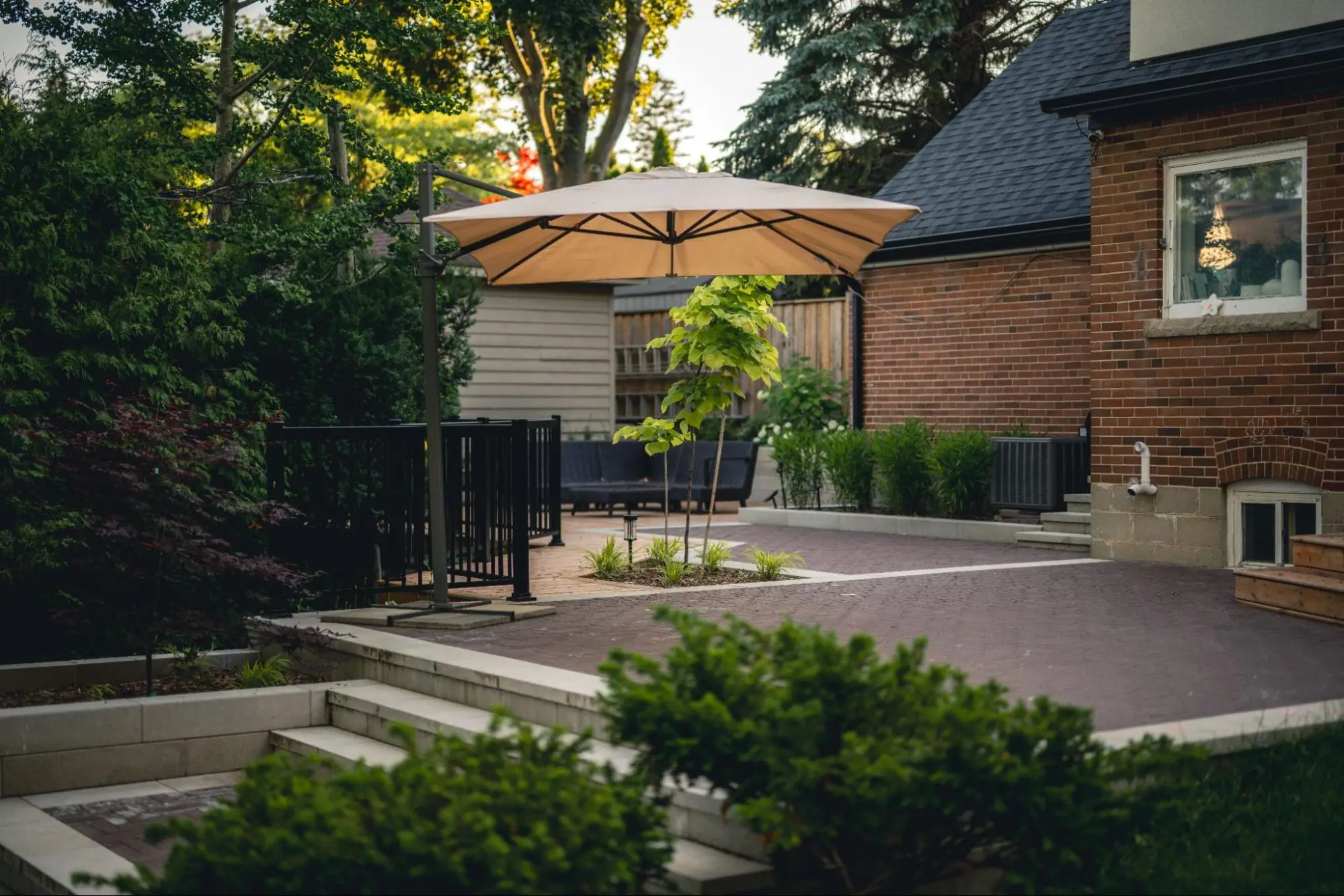 The backyard before the redesign