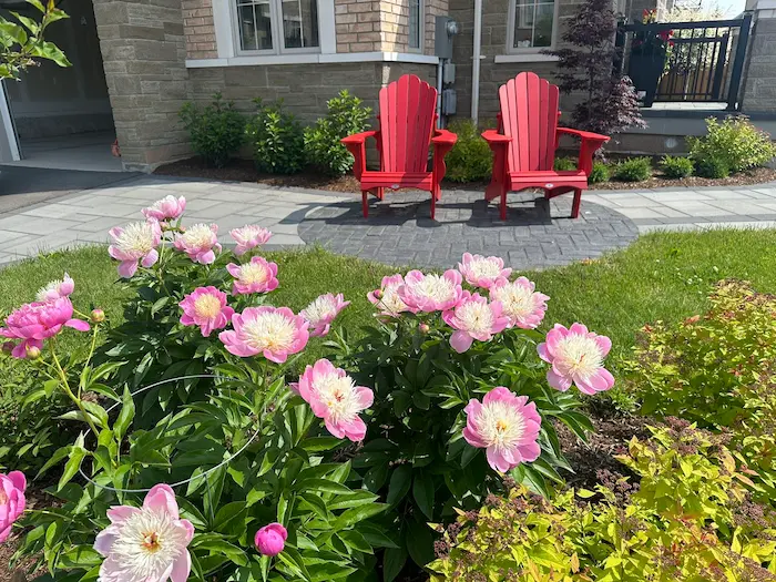 Front Yard Landscaping Ideas for GTA Homes: A Designer’s Guide